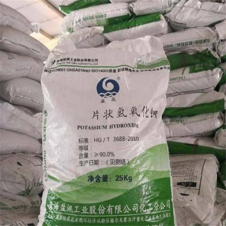 骚逼被操app